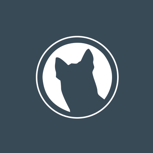 WordPress Widgets Avalanche